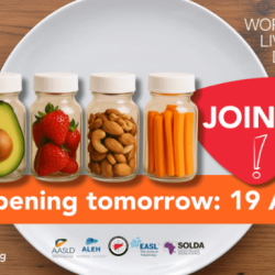 Svetový deň pečene 2025